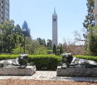 Only in Berkeley: Hidden Gems & Local Picks