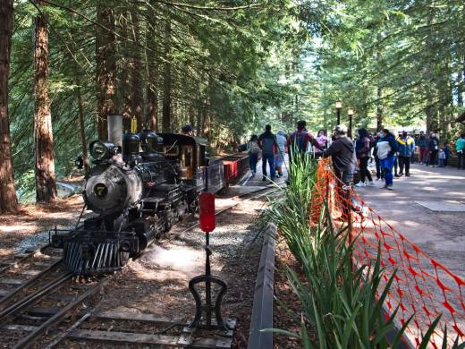 Tilden Park Steam Train