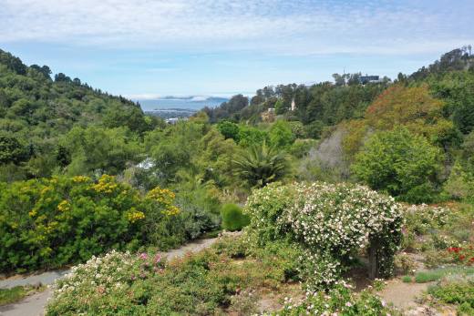 Berkeley Rose Garden