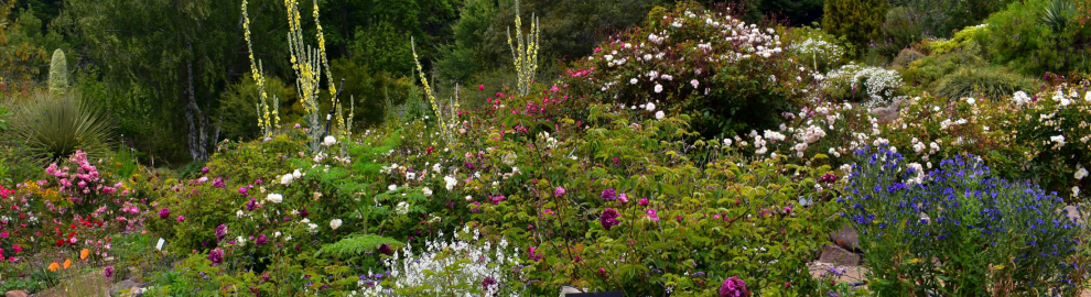 UC Botanical Garden at Berkeley