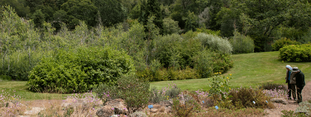 Tilden Park Regional Botanic Garden