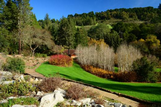 Tilden Park Regional Botanic Garden