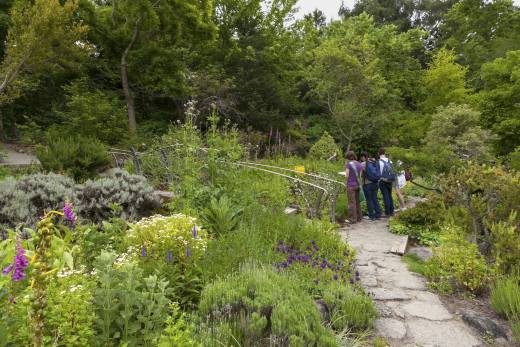 UC Botanical Garden at Berkeley