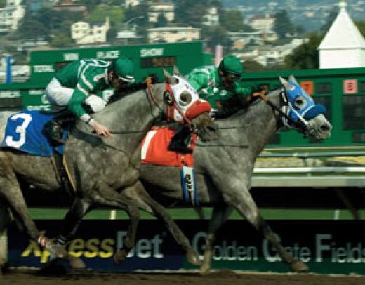 Golden Gate Fields