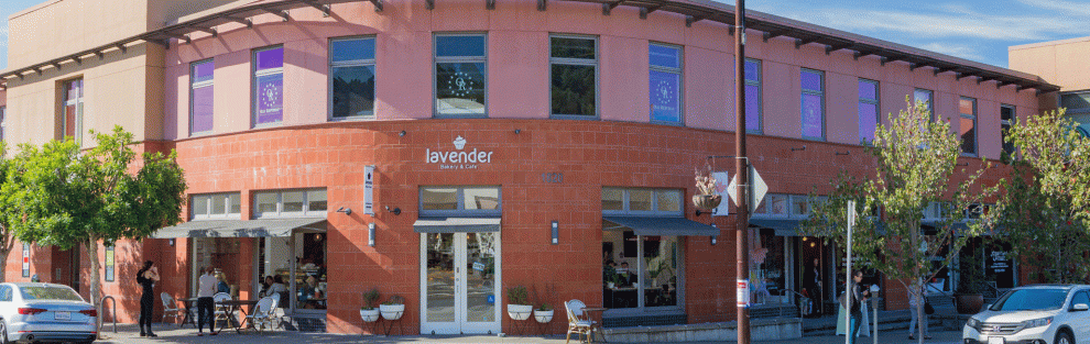 Lavender Bakery & Cafe