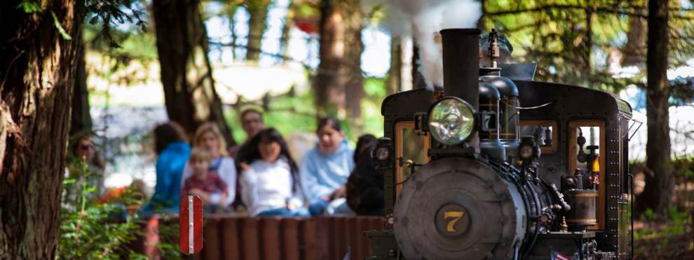 Tilden Park Steam Train