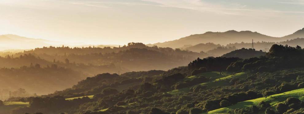 Tilden Regional Park