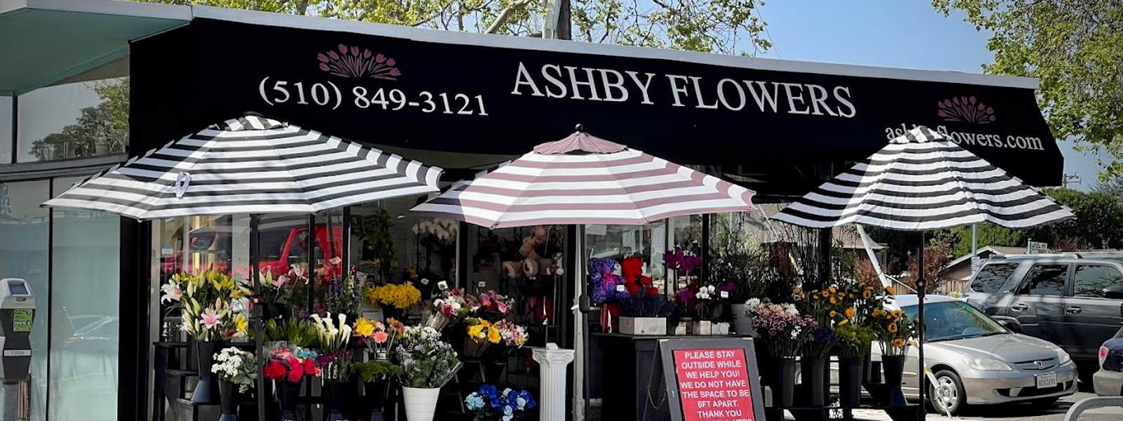 Ashby Flowers Visit Berkeley