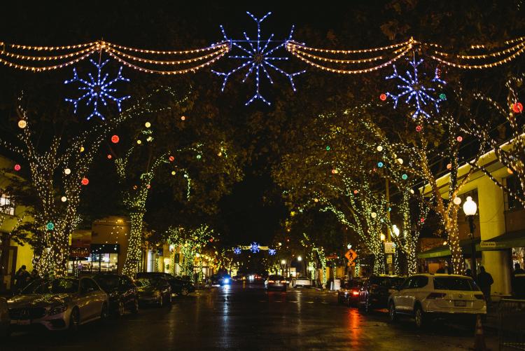 leugenaar vervormen Snel Top things to do in Berkeley during the holidays