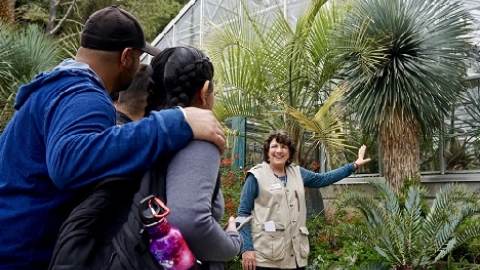 a family listens to a tour guide as the guide points to a tree in Berkeley