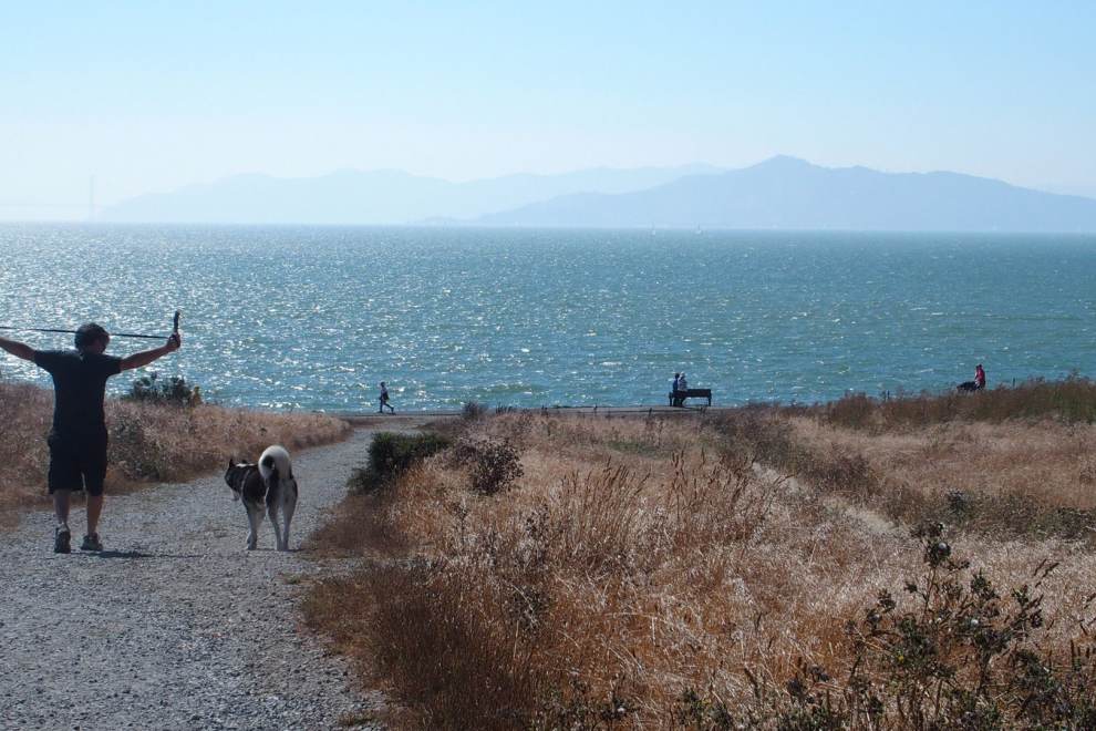 Walking in nature at Berkeley Marina