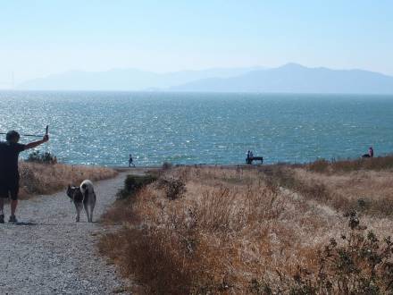 Walking in nature at Berkeley Marina