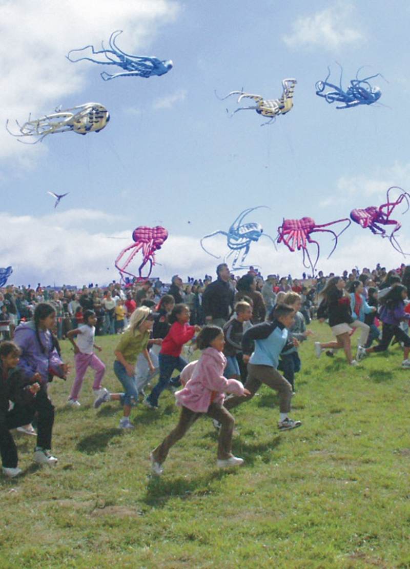 Berkeley Festivals & Annual Events