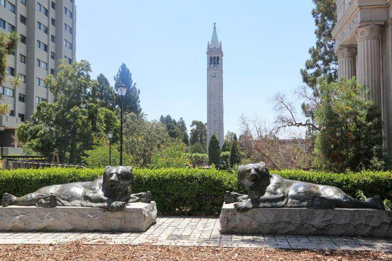Bear statues in front of green hedges on UC Berkeley Campus in Berkeley, CA