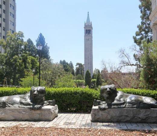 Only in Berkeley: Hidden Gems & Local Picks