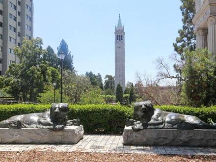 Bear statues in front of green hedges on UC Berkeley Campus in Berkeley, CA