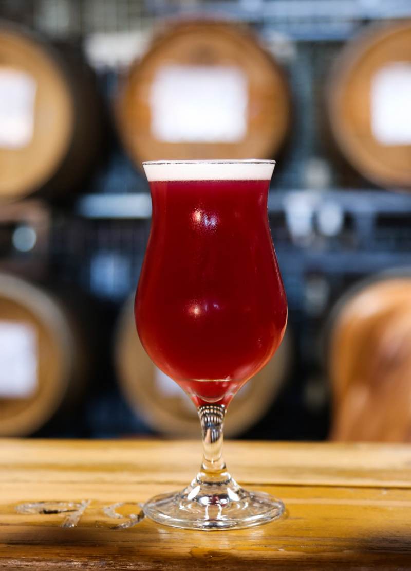 Craft Beer & Bars