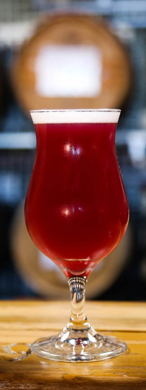 three craft beers on a bar at The Rare Barrel brewery in Berkeley