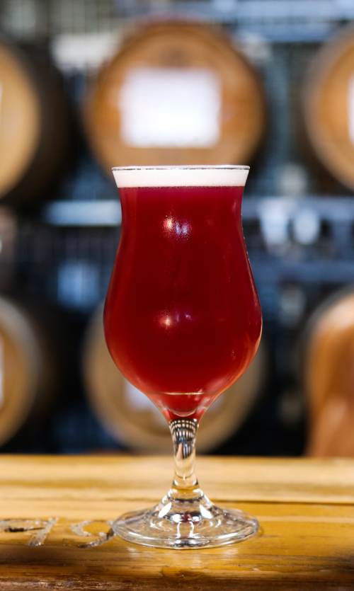 three craft beers on a bar at The Rare Barrel brewery in Berkeley