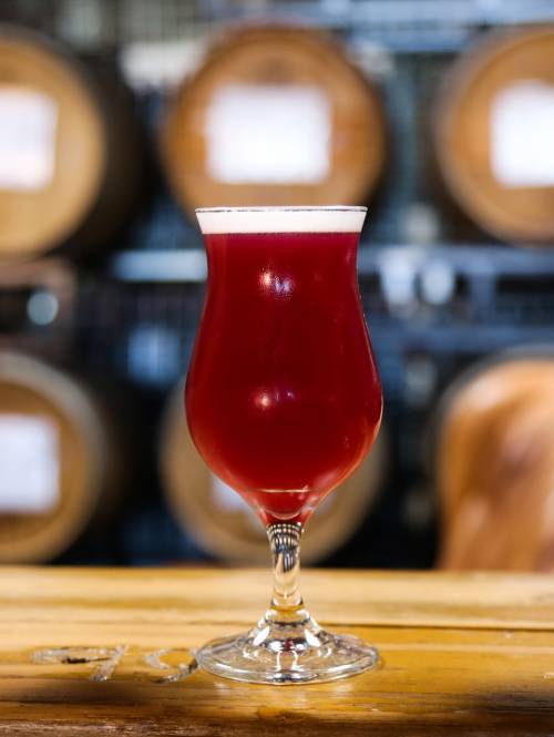 three craft beers on a bar at The Rare Barrel brewery in Berkeley