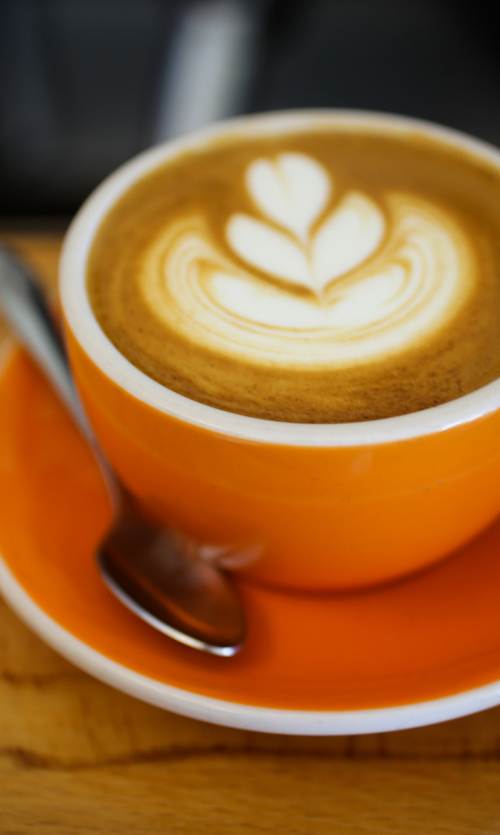  Cappuccino in orange mug on table from Rasa Cafe in Berkeley California