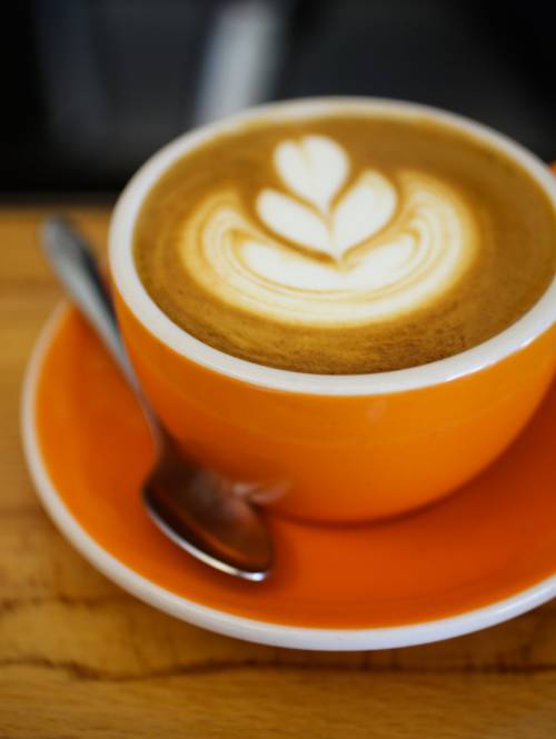  Cappuccino in orange mug on table from Rasa Cafe in Berkeley California