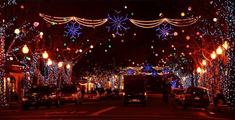 Berkeley Ca Christmas 2022 Top Things To Do In Berkeley During The Holidays