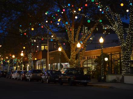 Colorful balls of christmas lights hang from trees wrapped in lights on Fourth Street in Berkeley, CA