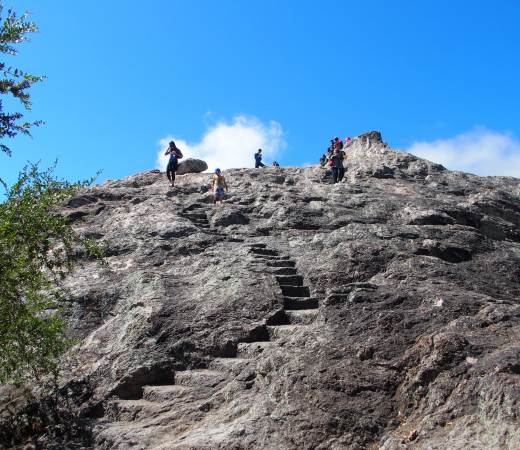 Rock Climbing in Berkeley