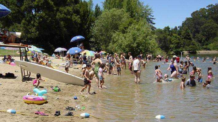 Families swim in Lake Anza in Berkeley, CA