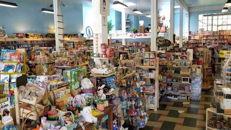 Books on shelves at Mr. Mopps Toy Shop in Berkeley. 