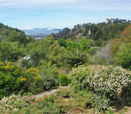 Free Things to Do in Berkeley