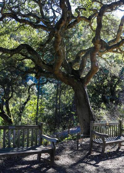 Tilden Park