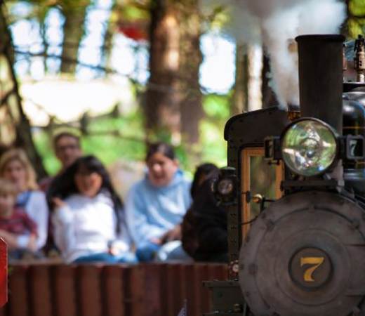 All Aboard the Tilden Park Steam Train