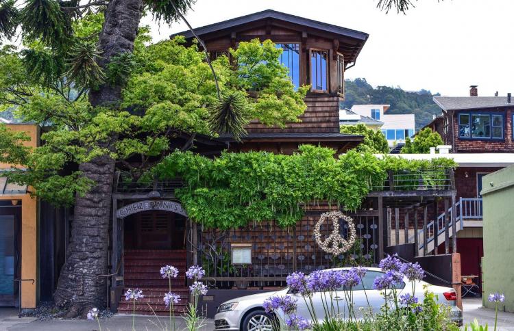The outside of Chez Panisse with a peace sign and verdant shrubbery.