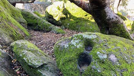 moss covered boulders at Mortar Rock Park