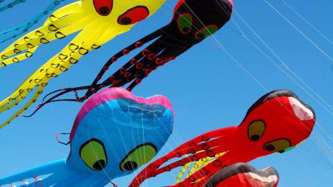 Berkeley Kite Festival Wrangler Octipile kites soar through the sky on a sunny day in Berkeley, CA
