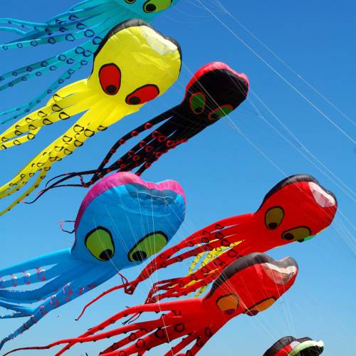Berkeley Kite Festival Wrangler Octipile kites soar through the sky on a sunny day in Berkeley, CA