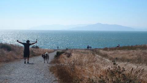 A man walks his dog on a trail by Berkeley Marina, which overlooks the water.