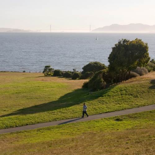 a man runs on a path through a field at Berkeley Waterfront Park