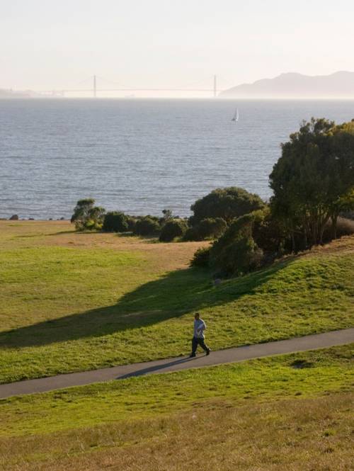 a man runs on a path through a field at Berkeley Waterfront Park
