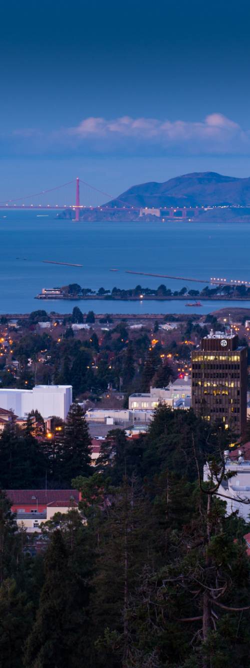 View of Berkeley overlooking the bay in the early evening