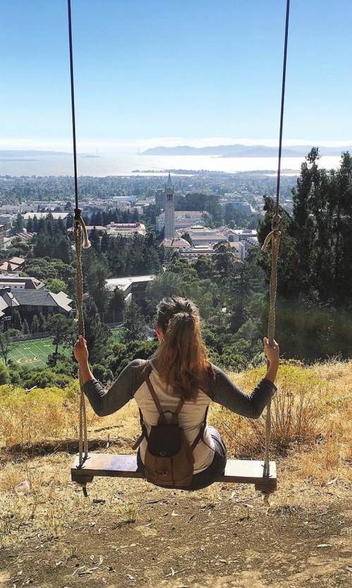 The View From Charter Hill Hike In Berkeley while sitting on Big C Swing