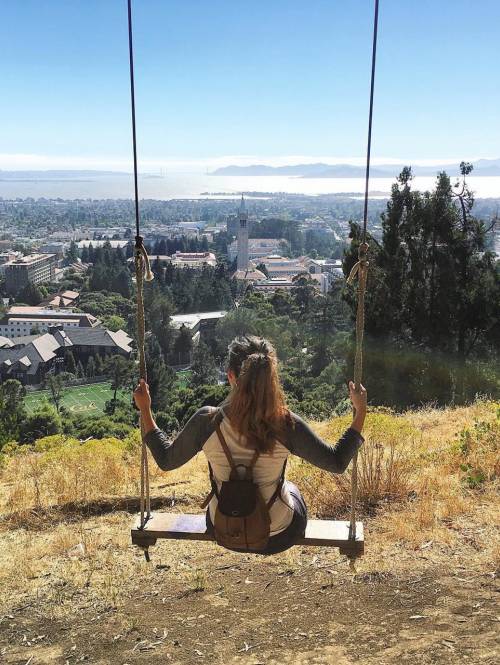 The View From Charter Hill Hike In Berkeley while sitting on Big C Swing