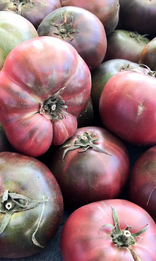 Fresh Tomatoes and produce at the family-friendly and festive Farmers Markets in Berkeley, California