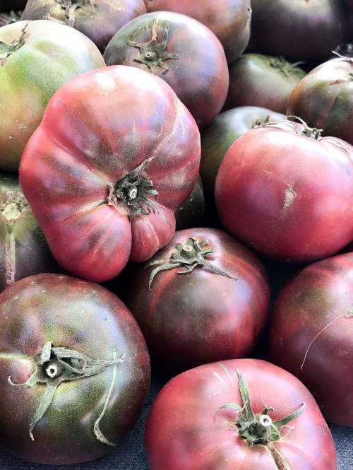 Fresh Tomatoes and produce at the family-friendly and festive Farmers Markets in Berkeley, California