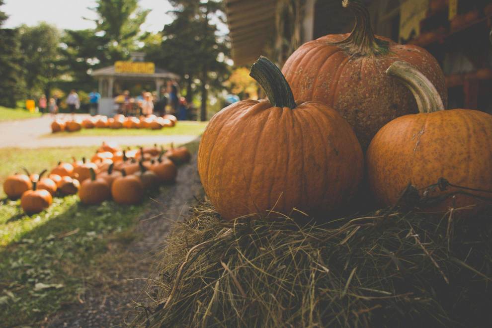 Pumpkins stacked onto a hay bale