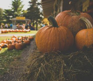 Halloween Events in Berkeley