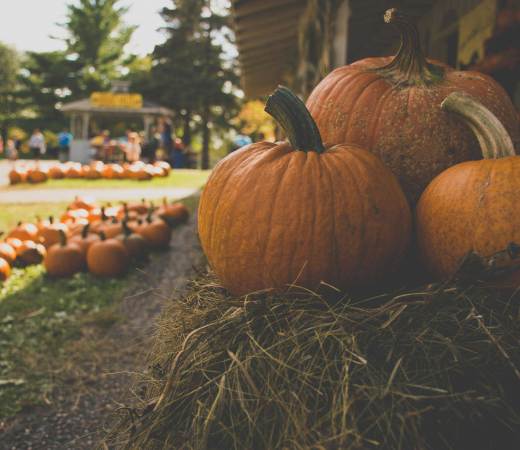 Halloween Events in Berkeley