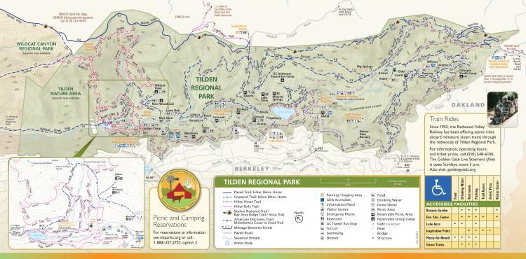 Ultimate Guide to Tilden Regional Park - Visit Berkeley